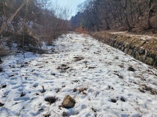 자연농원 순 강재옥님의 자유주제 · 자유게시판 작성글 사진