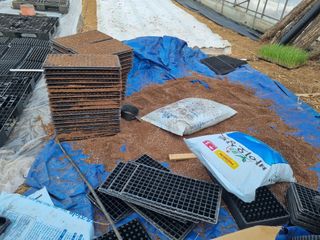 진여화 농원님의 자유주제 · 자유게시판 작성글 사진