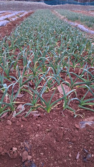 bpjh9173님의 자유주제 · 자유게시판 작성글 사진