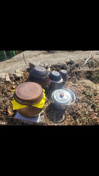 이의도님의 자유주제 · 자유게시판 작성글 사진