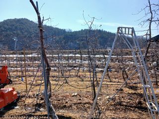알 수 없음님의 자유주제 · 자유게시판 작성글 사진
