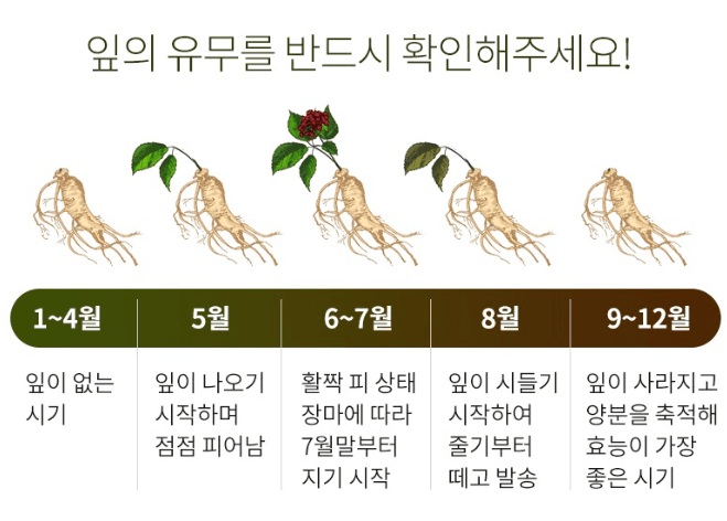스피드번님의 장터 판매 상품 [산양삼] 첨부 사진