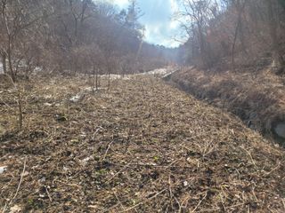 자연농원 순 강재옥님의 자유주제 · 자유게시판 작성글 사진
