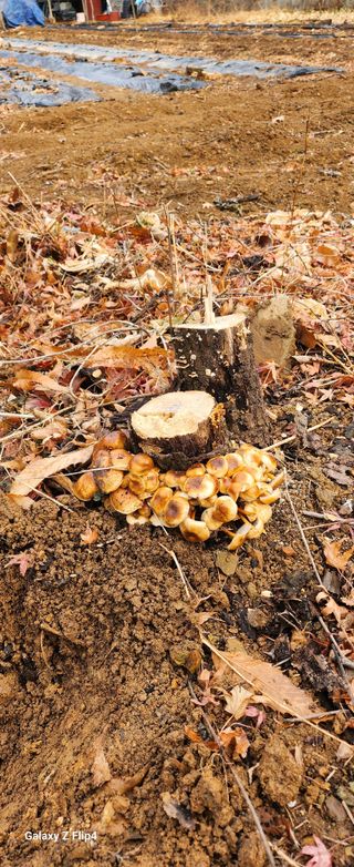 청람정상님의 자유주제 · 자유게시판 작성글 사진