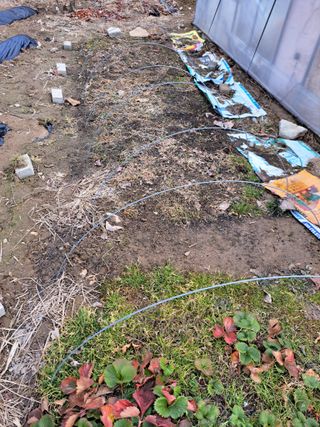 김명웅님의 3월 농사 계획 공유해요 · 참여글 작성글 사진