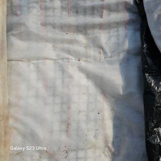 박용열조물주님 님의 자유주제 · 자유게시판 작성글 사진