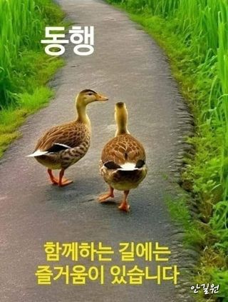 안길원님의 자유주제 · 자유게시판 작성글 사진