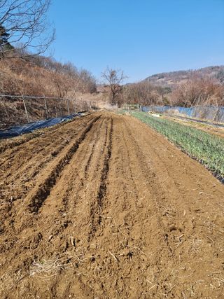초보퍼머5도2촌준비님의 자유주제 · 자유게시판 작성글 사진