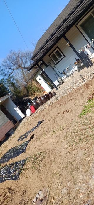 초보퍼머5도2촌준비님의 자유주제 · 자유게시판 작성글 사진