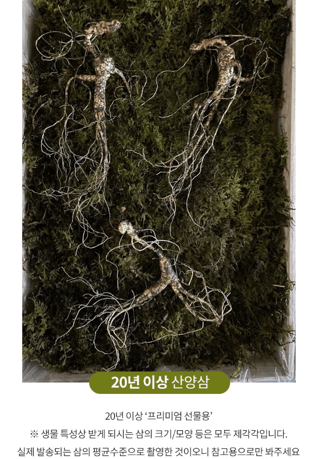 스피드번님의 장터 판매 상품 [산양삼] 첨부 사진