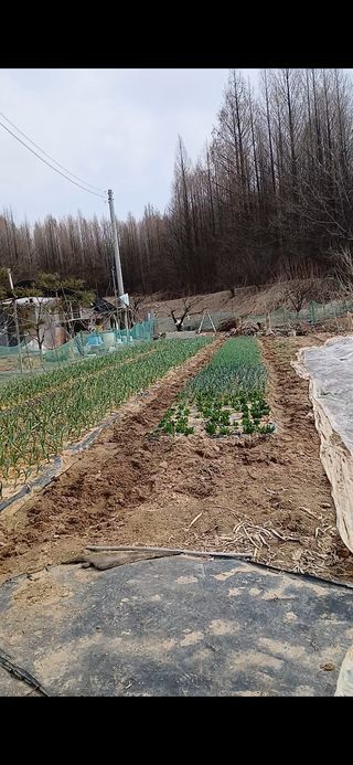 서병일님의 자유주제 · 자유게시판 작성글 사진