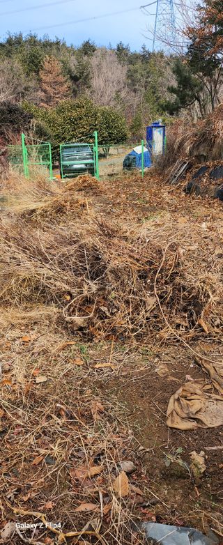 청람정상님의 자유주제 · 자유게시판 작성글 사진