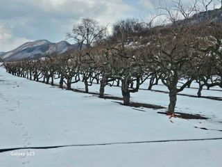 손윤영/수채화농원님의 자유주제 · 자유게시판 작성글 사진