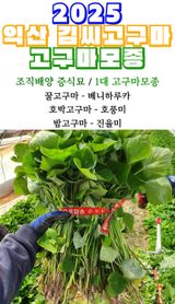 팜모닝 자유주제·자유게시판 게시글 이미지