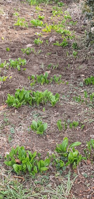 한밭농원님의 자유주제 · 자유게시판 작성글 사진