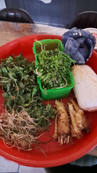 bpjh9173님의 자유주제 · 자유게시판 작성글 사진