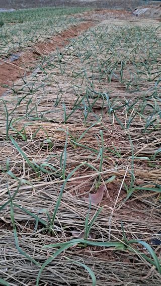 bpjh9173님의 자유주제 · 자유게시판 작성글 사진