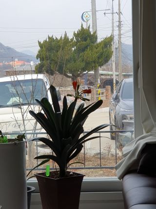 권기은님의 자유주제 · 자유게시판 작성글 사진