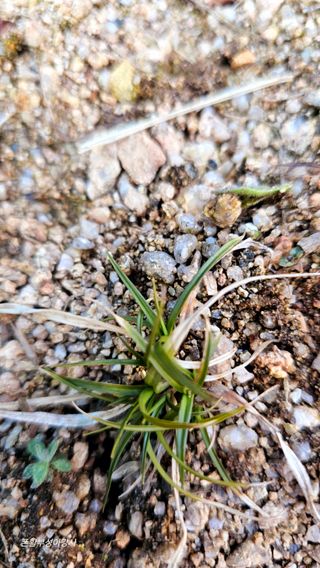 아홍팜님의 자유주제 · 자유게시판 작성글 사진