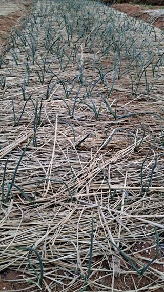 bpjh9173님의 자유주제 · 자유게시판 작성글 사진