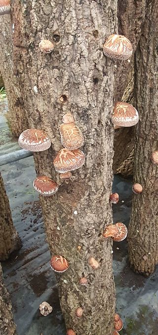 한밭농원님의 자유주제 · 자유게시판 작성글 사진