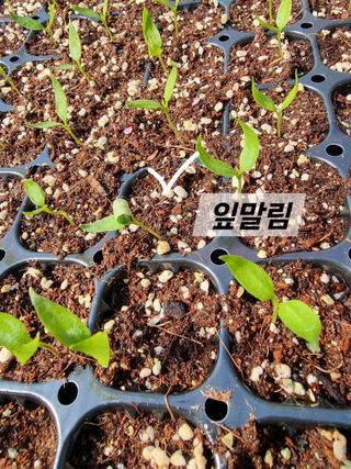 호랑이와인성이님의 자유주제 · 자유게시판 작성글 사진