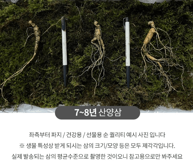 스피드번님의 장터 판매 상품 [산양삼] 첨부 사진