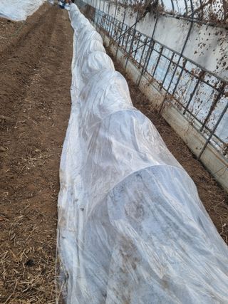 진여화 농원님의 자유주제 · 자유게시판 작성글 사진