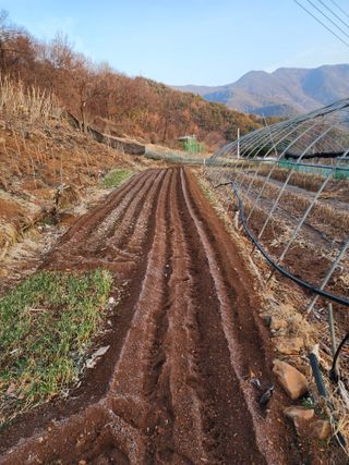 신승덕맛익는사과님의 3월 농사 계획 공유해요 · 참여글 작성글 사진