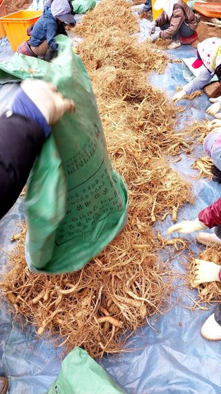 펠렛전문이부장님의 작성글 사진