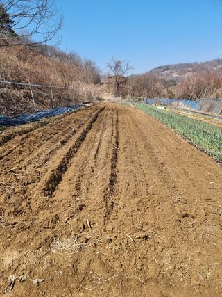 초보퍼머5도2촌준비님의 자유주제 · 자유게시판 작성글 사진