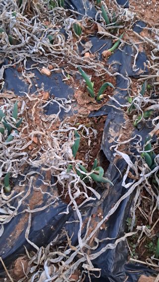 bpjh9173님의 자유주제 · 자유게시판 작성글 사진