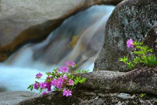 안길원님의 자유주제 · 자유게시판 작성글 사진