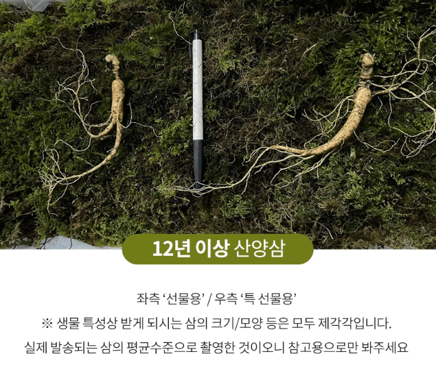 스피드번님의 장터 판매 상품 [산양삼] 첨부 사진