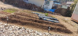 초보퍼머5도2촌준비님의 자유주제 · 자유게시판 작성글 사진