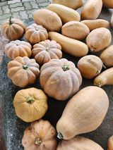 팜모닝 3월 농사 계획 공유해요·참여글 게시글 이미지