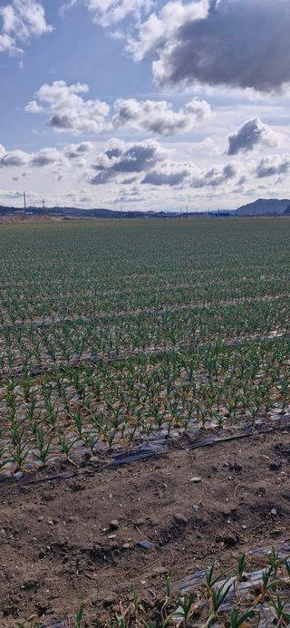 펠렛전문이부장님의 작성글 사진