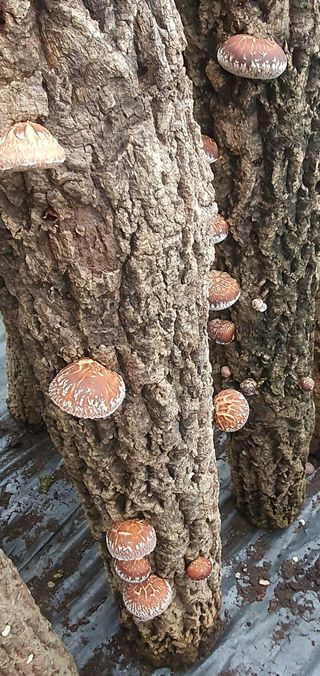 한밭농원님의 자유주제 · 자유게시판 작성글 사진