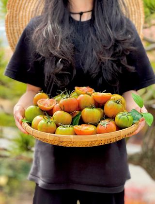 농부손녀님의 작성글 사진