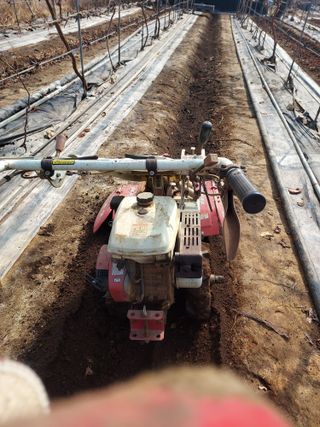 태일농산이정수님의 자유주제 · 자유게시판 작성글 사진