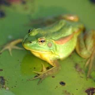 최한기님의 자유주제 · 자유게시판 작성글 사진