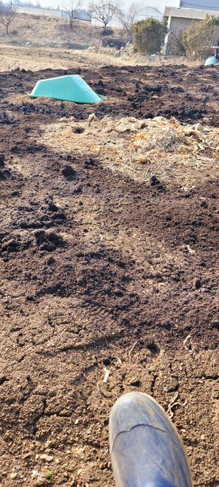 박영준님의 3월 농사 계획 공유해요 · 참여글 작성글 사진