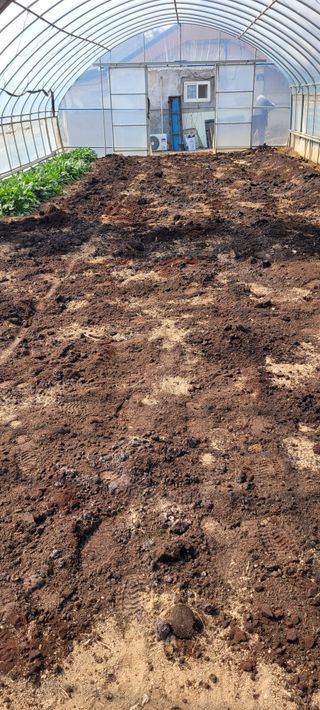 박영준님의 3월 농사 계획 공유해요 · 참여글 작성글 사진