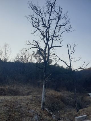 세미골곶감님의 자유주제 · 자유게시판 작성글 사진