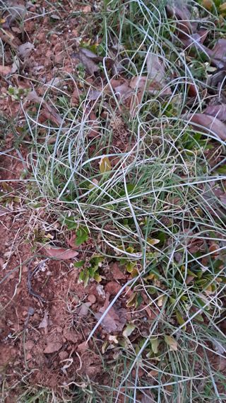 bpjh9173님의 자유주제 · 자유게시판 작성글 사진