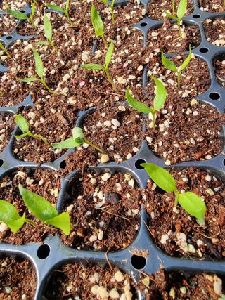 호랑이와인성이님의 자유주제 · 자유게시판 작성글 사진