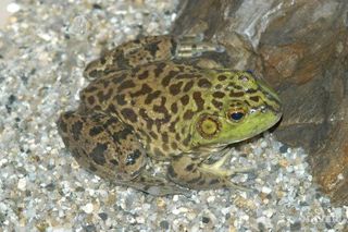 최한기님의 자유주제 · 자유게시판 작성글 사진