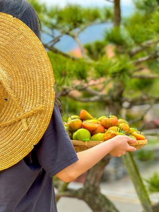 농부손녀님의 작성글 사진