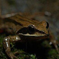 최한기님의 자유주제 · 자유게시판 작성글 사진