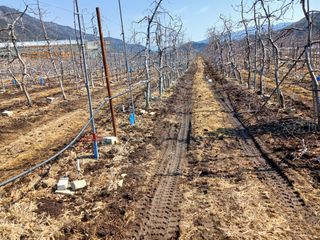 알 수 없음님의 자유주제 · 자유게시판 작성글 사진